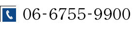 06-6755-9900