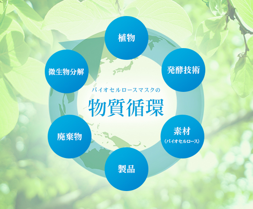 バイオセルロースマスクの物質循環